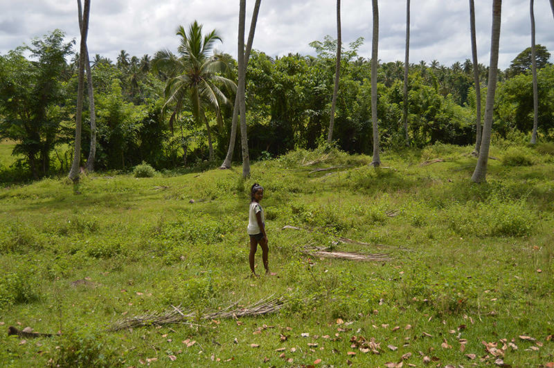 Image of Negombo, Sri Lanka