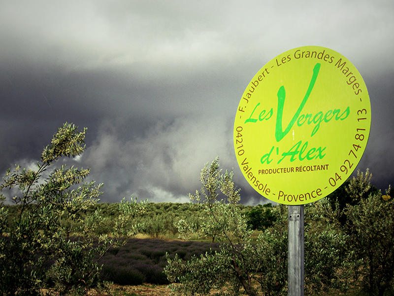 image of Valensole, France