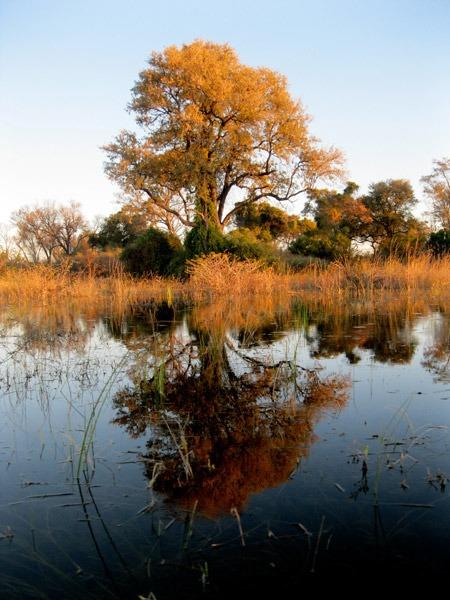 image of Maun, Botswana