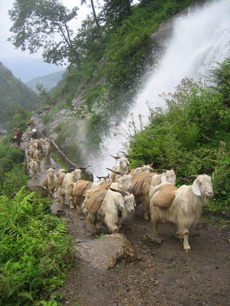 image of India