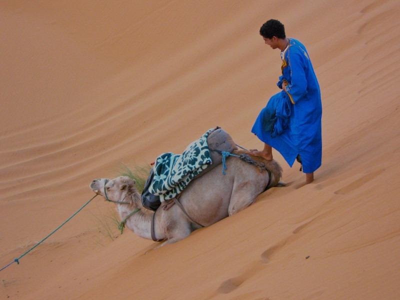 image of The Sahara, Morocco